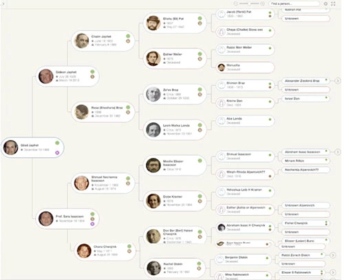 MyHeritage-dna-arbre-genealogique-avis