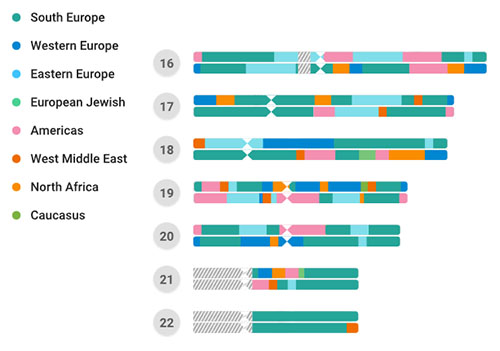 family-tree-dna-avis-chromosomes-carte haplogroupe