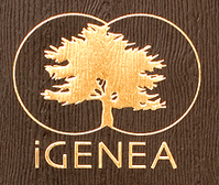 logo igenea